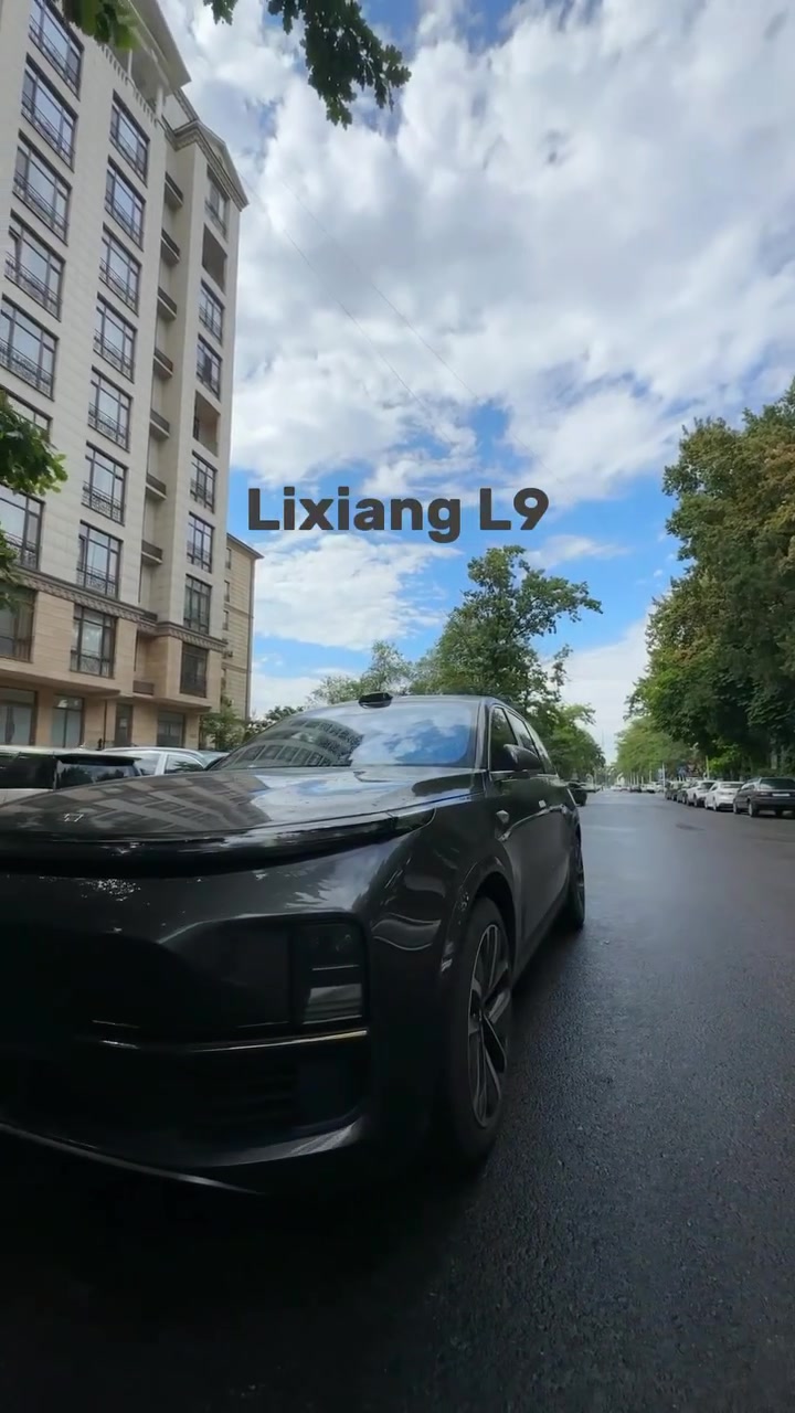 Lixiang L9